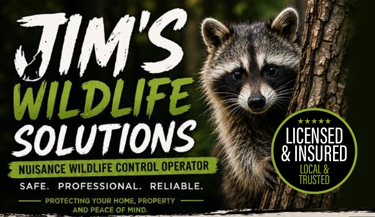 Jim's Wildlife Solutions