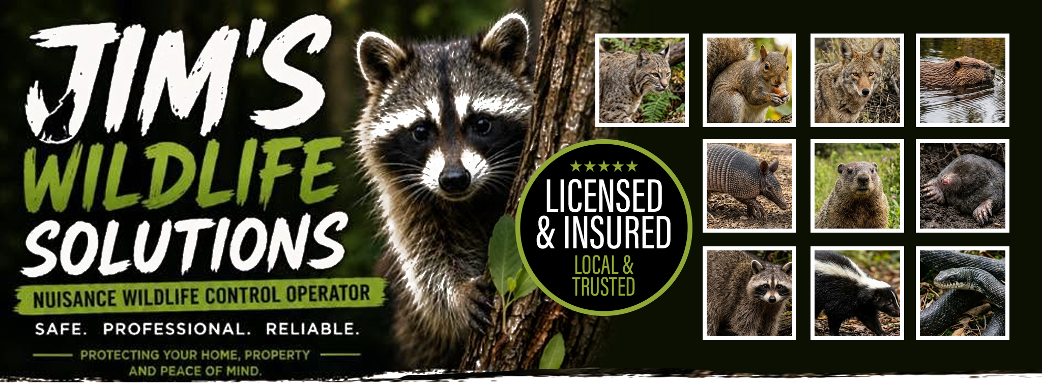 Jim's Wildlife Solutions